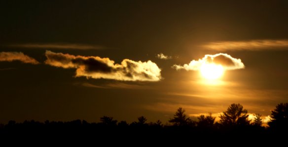 Free stock photo of clouds, evening sun, sky photo