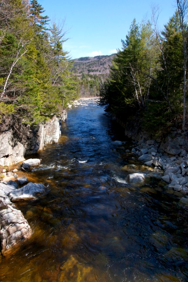 Free stock photo of rocks, trees, water