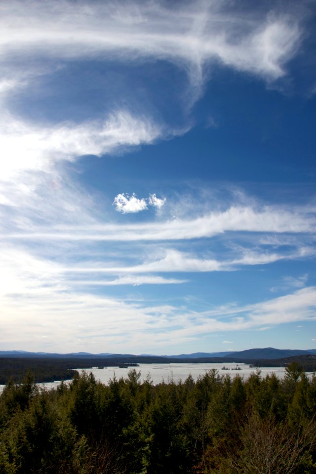Free stock photo of clouds, trees