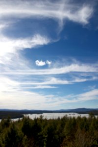 Free stock photo of clouds, trees