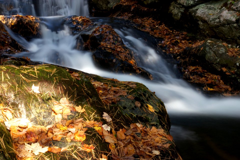 Free stock photo of foliage, rocks, water