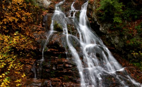 Free stock photo of foliage, water, waterfall