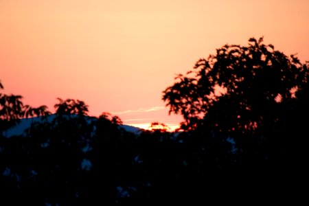 Free stock photo of sky, summer, sunset photo