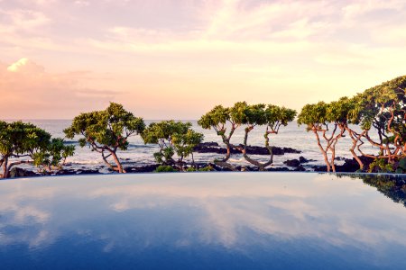 Trees Beside Calm Body of Water photo