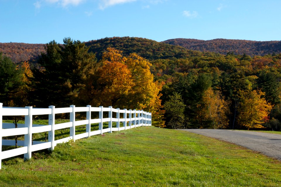 Free stock photo of foliage, grass, mountains