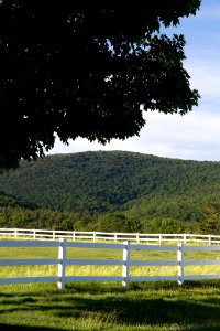 Free stock photo of fence, mountains, trees photo