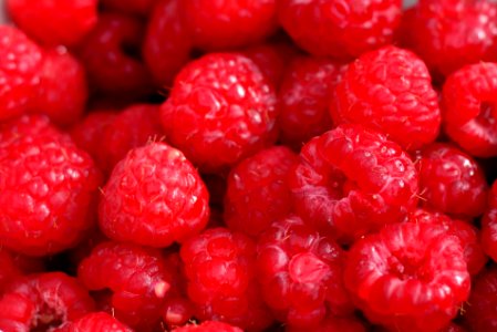 Red Raspberries photo