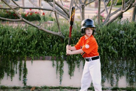 Free stock photo of baseball, baseball bat, batter photo