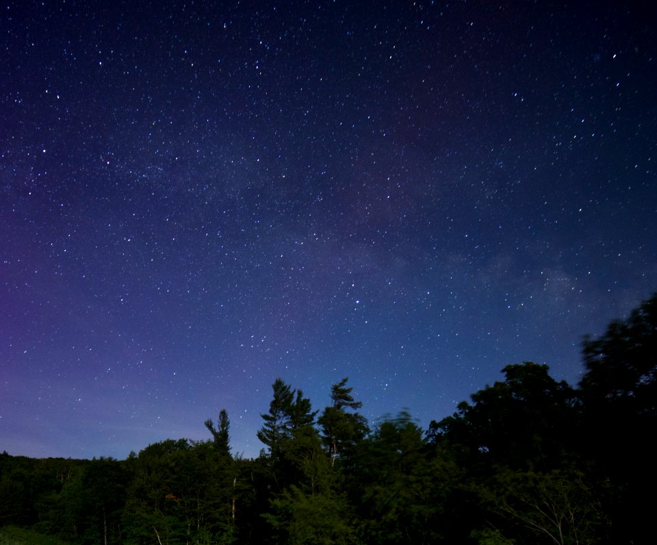 Green Trees Under Galaxy Stars