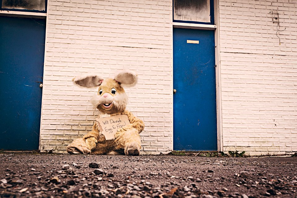 Brown Rabbit Costume photo