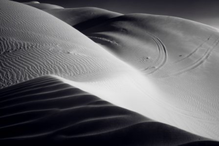Grayscale Photography of Desert photo