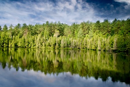Calm Body of Water Near Green Leafed Trees Under Clouded Sky photo
