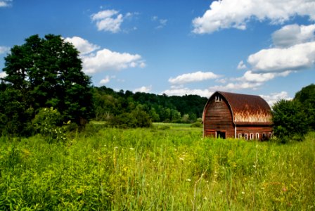 Brown Barn Surrounded by Green Grass photo