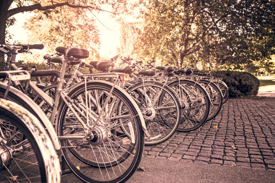 Photography of Bicycles Parked on Stone Floor photo