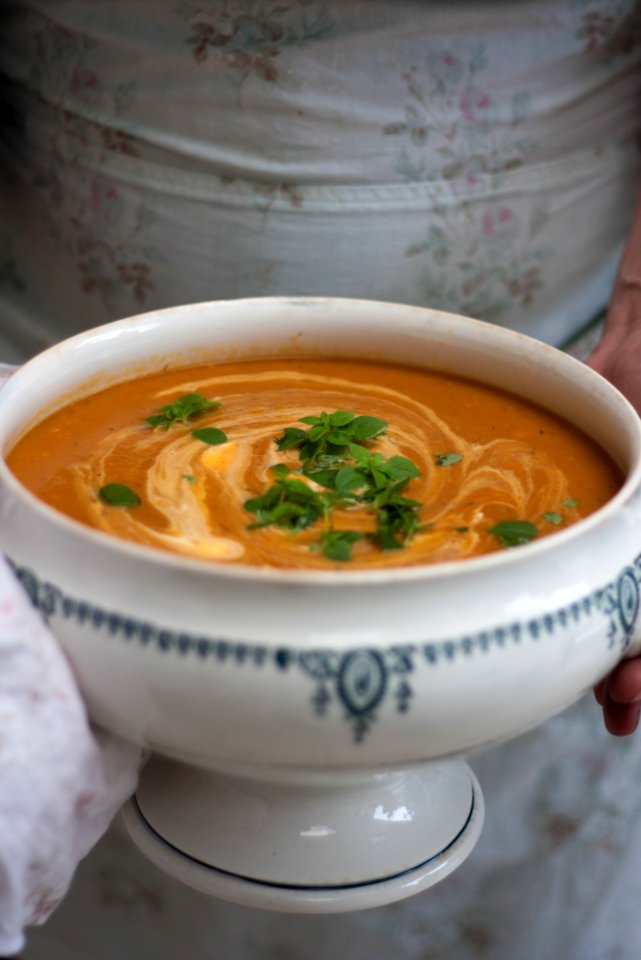 Free stock photo of bowl, china, china dishes