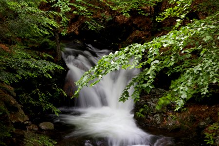 Waterfalls Between Green Plants photo