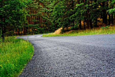 Free stock photo of evening, forest, road photo