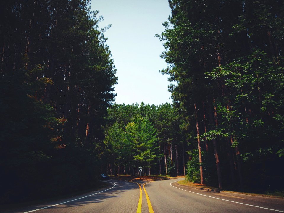 Free stock photo of curve, road, street
