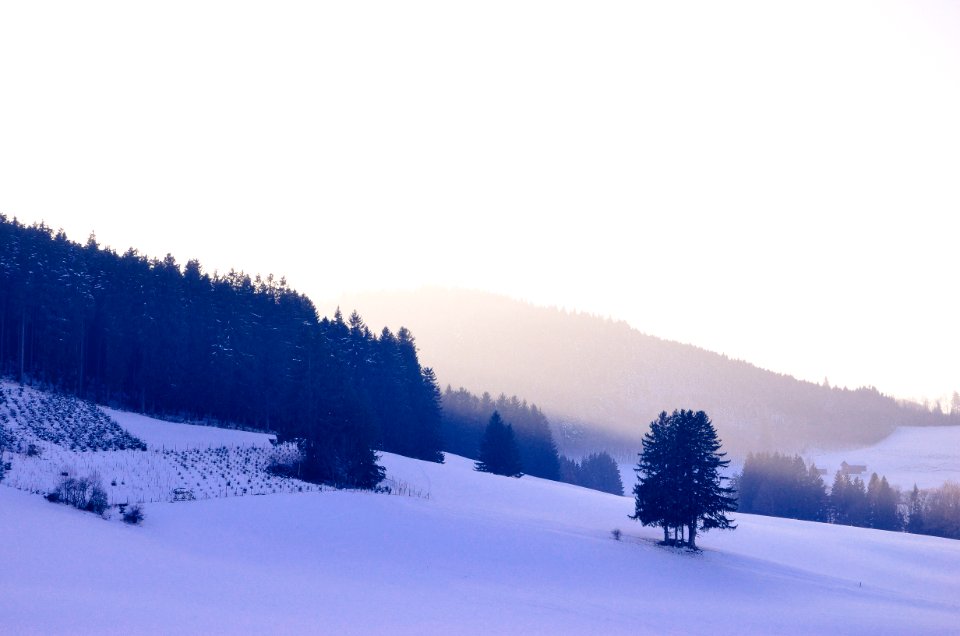 Free stock photo of blue, freshpow, powder
