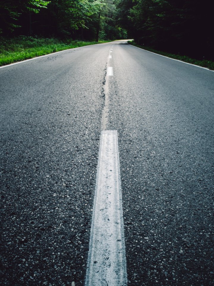 Road Between Tall Green Trees photo