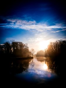 Green Trees Near Body of Water photo