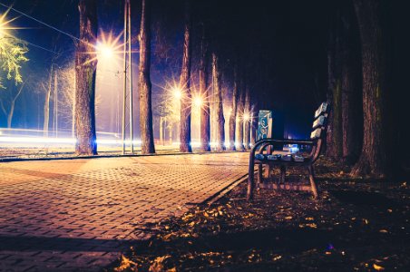 Photography of Brown Bench Beside Walkway and Trees at Night