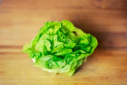 Free stock photo of green, healthy, lettuce photo