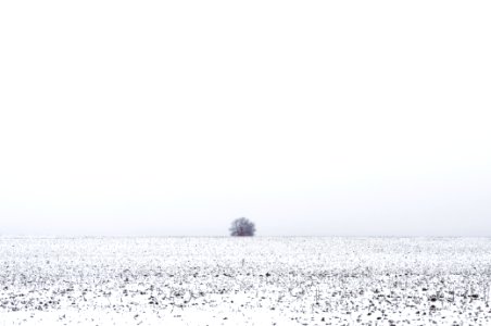 Free stock photo of d90, frost, horizont photo