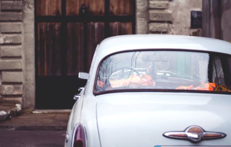 Free stock photo of back, car, gates photo