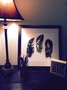 Black Feathers Painting Beside Brown and Black Lamp Shade photo
