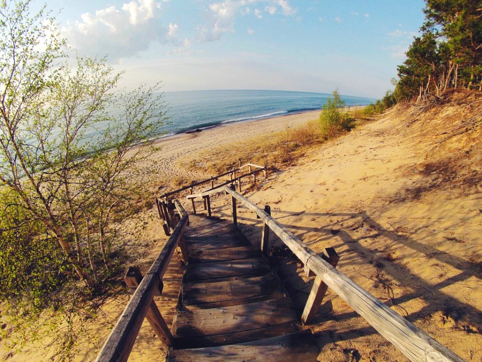 Free stock photo of beach, fish eye, going down photo