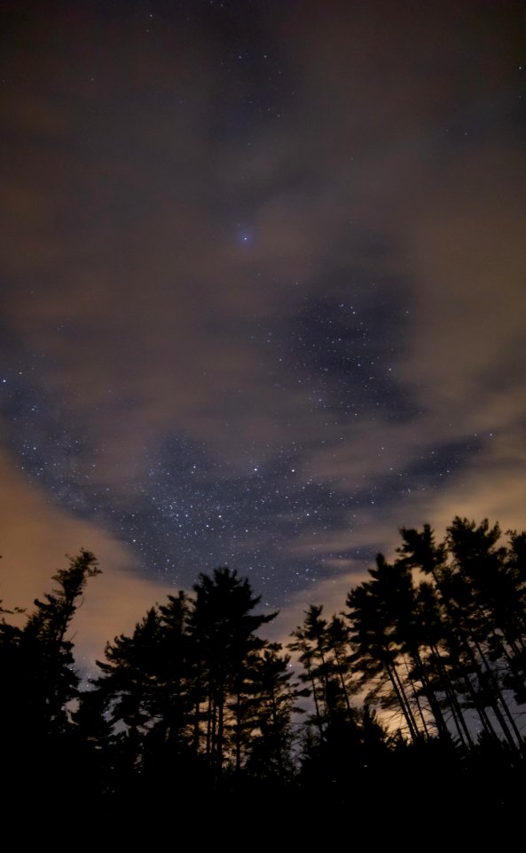Free stock photo of night, sky, stars