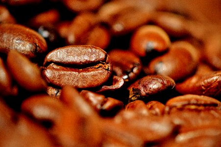 Beans cafe roasted