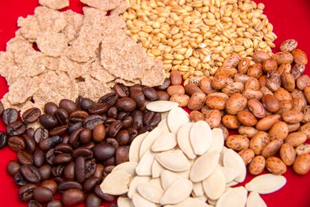 Nutrition delicious healthy food