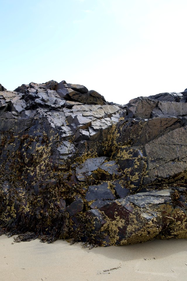 Free stock photo of beach, rocks, stones photo