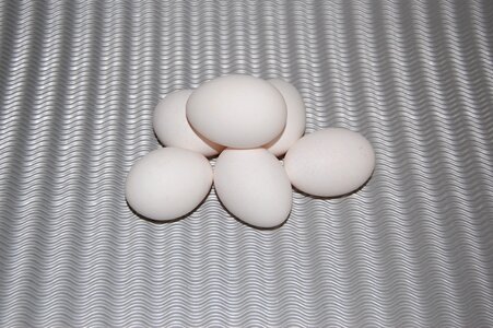 White eat white eggs