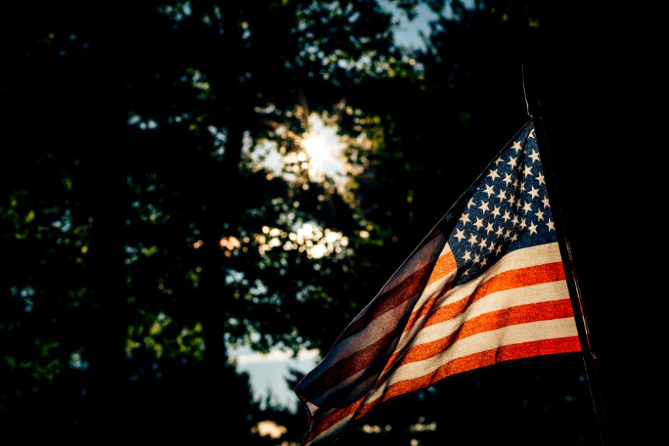 Free stock photo of america, american flag, sky
