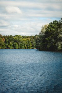 Free stock photo of nature, trees, water photo