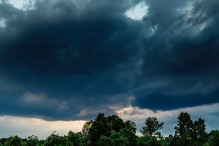 Free stock photo of clouds, dark, forest photo