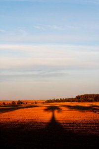 Free stock photo of field, shadow, sunset