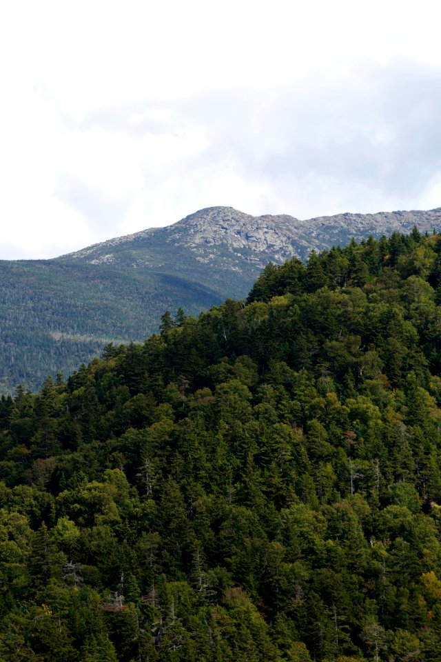 Free stock photo of mountains, trees
