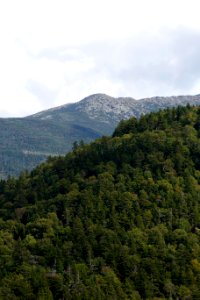 Free stock photo of mountains, trees photo