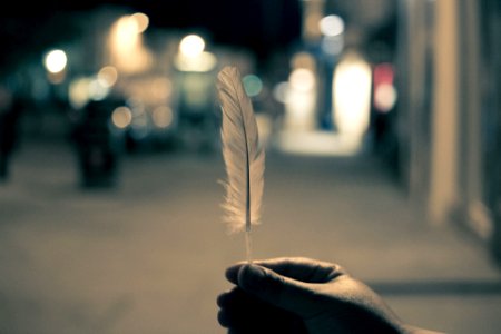 Selective Focus Photography of Person Holding Feather photo