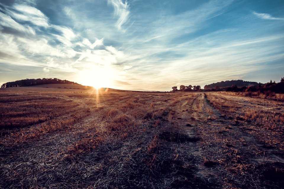 Free stock photo of landscape, place, sunlight