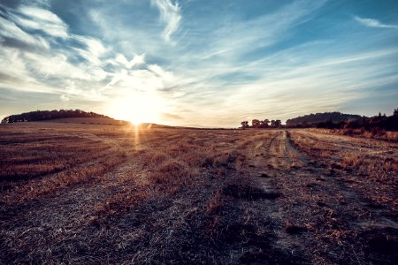 Free stock photo of landscape, place, sunlight