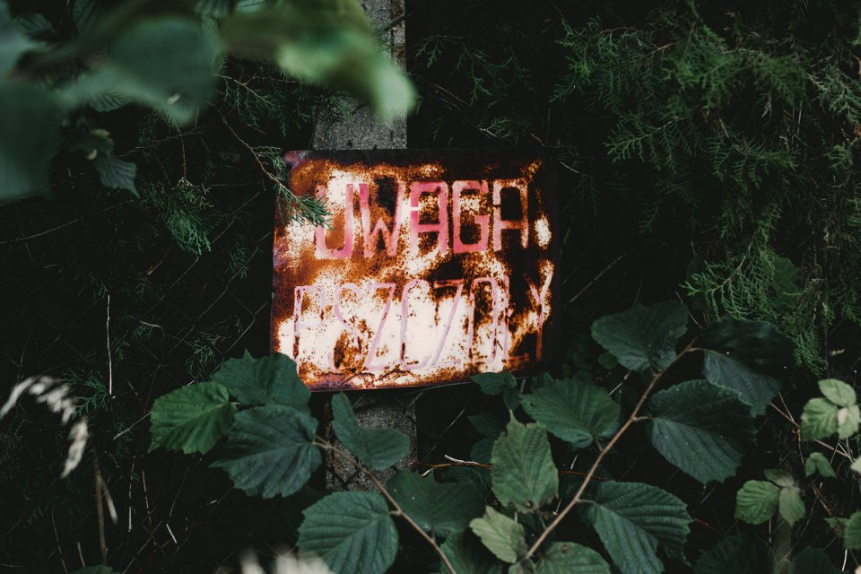 Free stock photo of bees, sign, warning photo