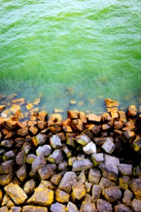 Grey Stones on Green Sea Water photo
