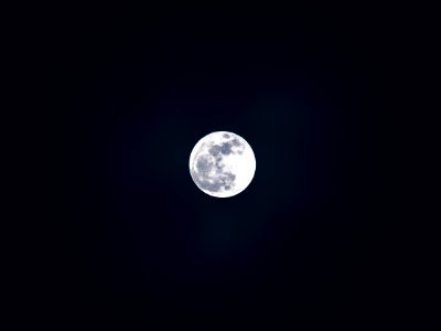 White and Gray Moon photo
