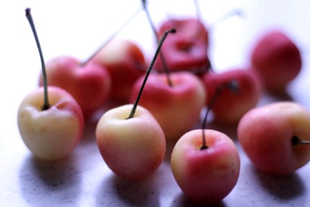 Free stock photo of cherry, food, fruit photo