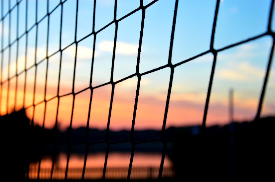 Free stock photo of colors, fence, net photo
